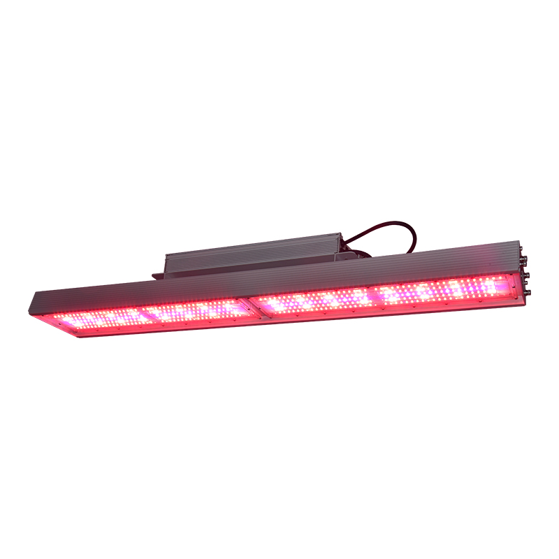 Led Horticultural Luminaires LEDZW003C